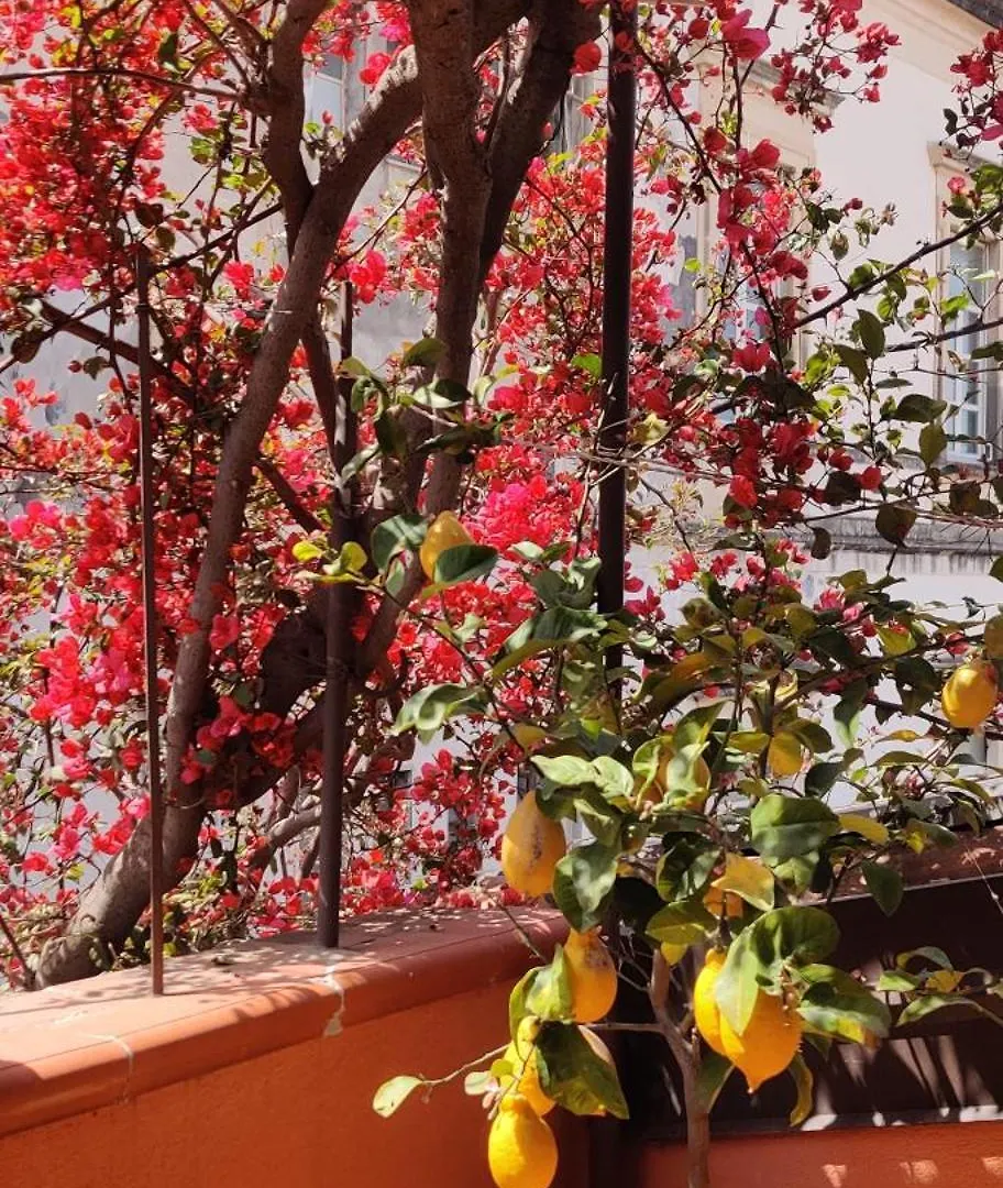 Luxury Catania Bed & Breakfast